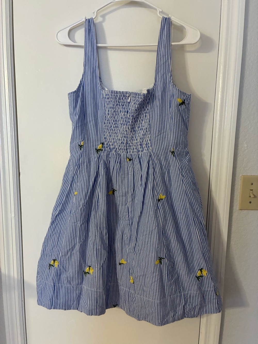 Women’s Free Assembly Blue Striped Lemon Embroidered Dress - Picture 9 of 11